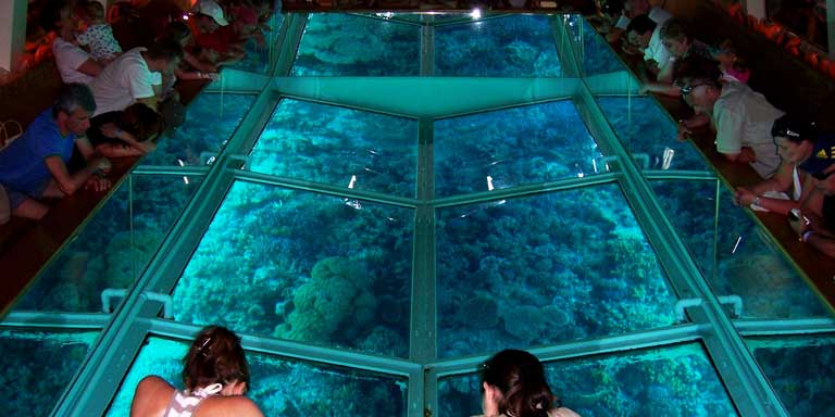Glass bottom boat Tour Sharm1